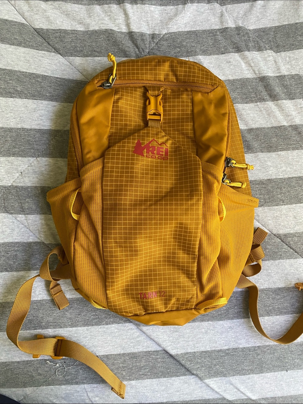 REI Youth Tarn 12 Backpack